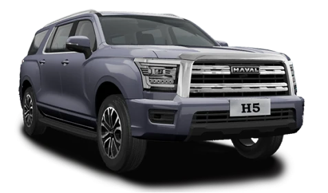 H5